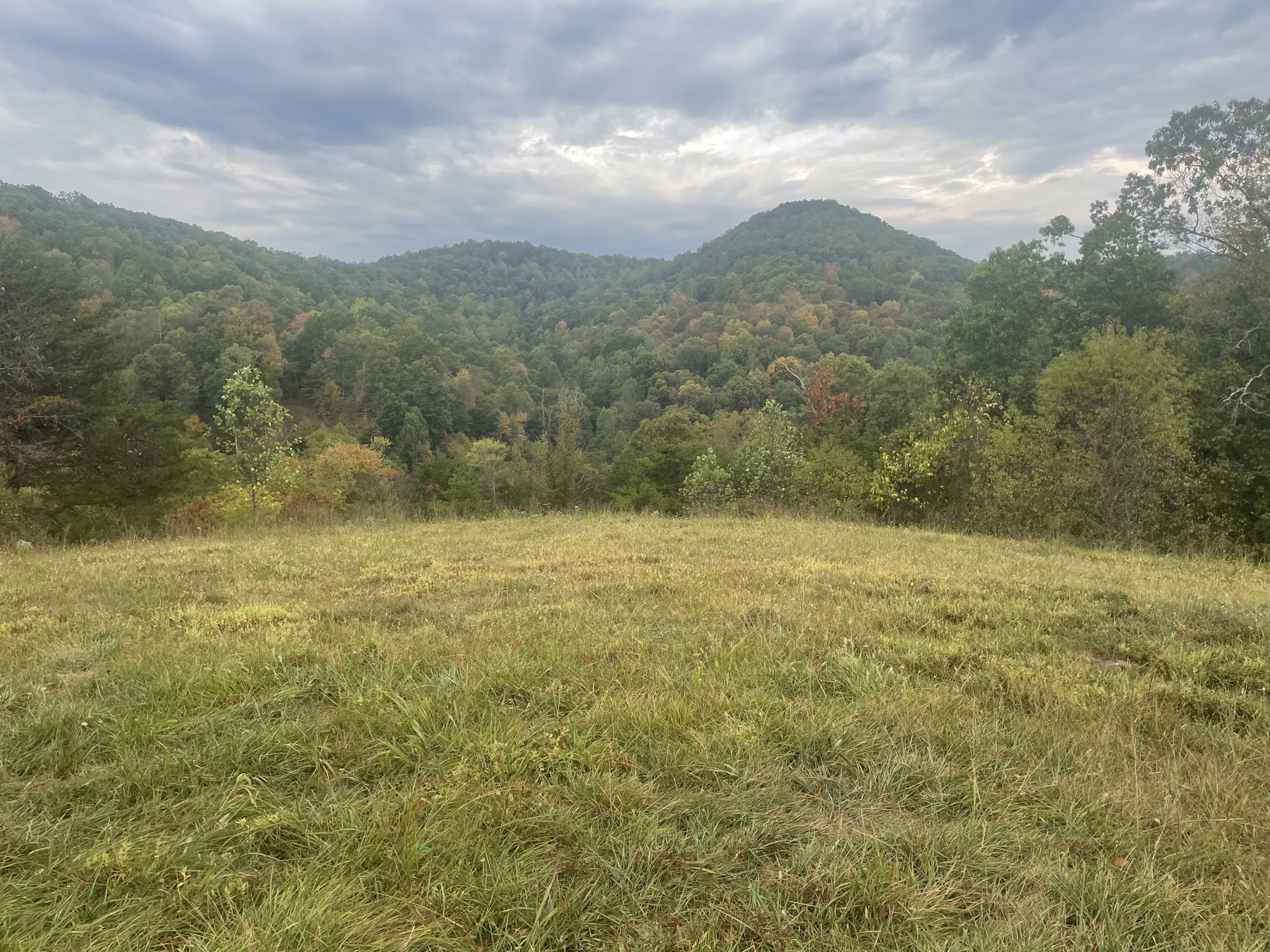 Late-summer view from the farm's hilltop meadow across wooded West Virginia ridges
