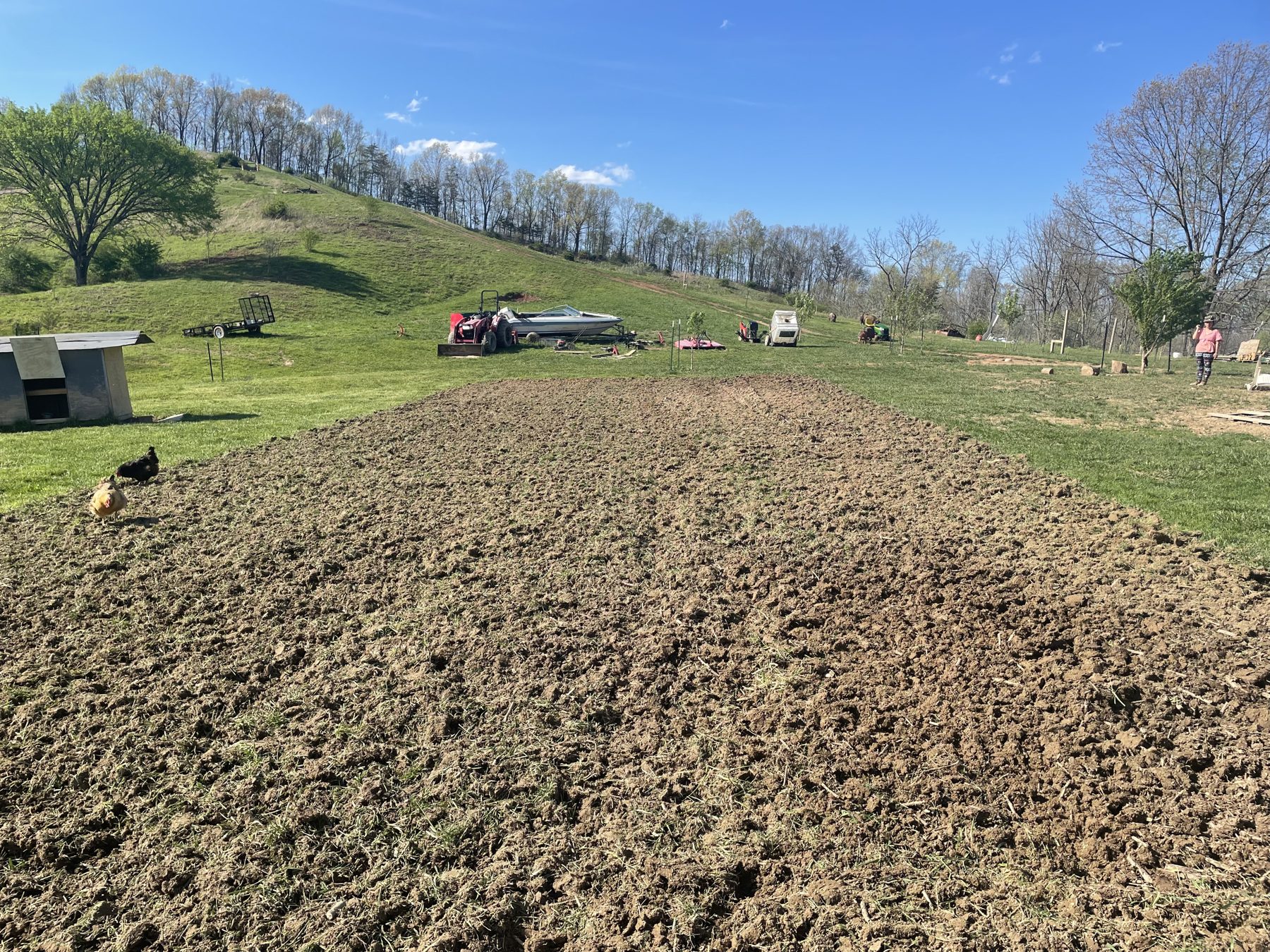 Freshly tilled market-garden ground below a green hillside, with chickens foraging nearby